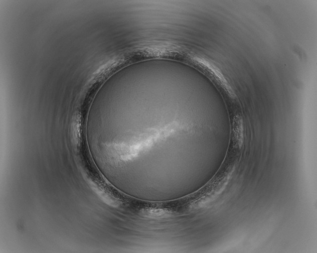 X0000111480590200907141219