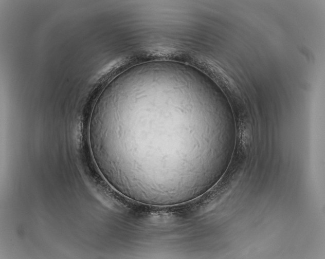X0000111480591200907141219