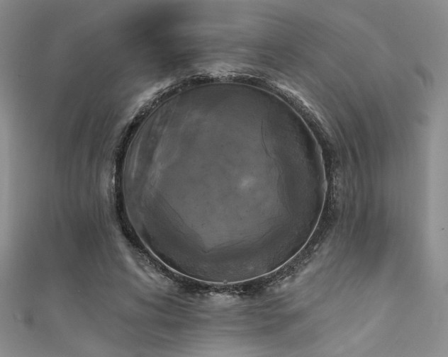 X0000111480592200907141219