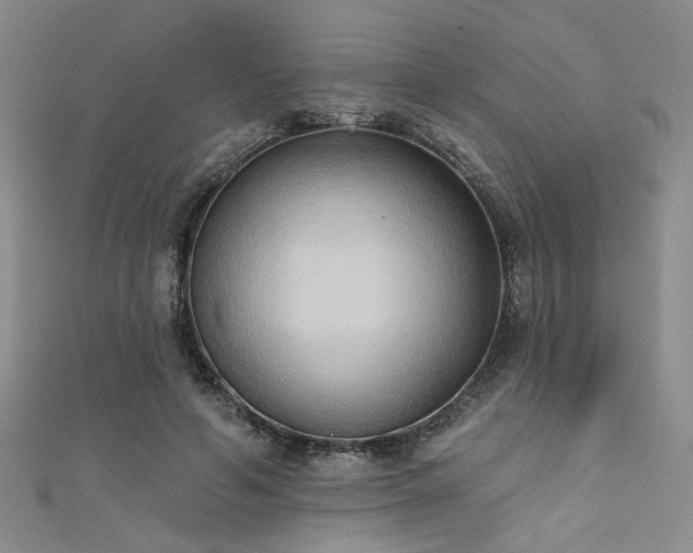X0000111480594200907141219