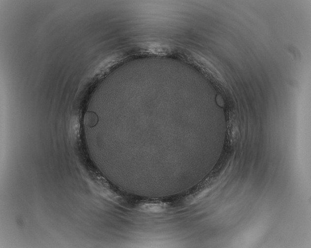 X0000111480595200907141219