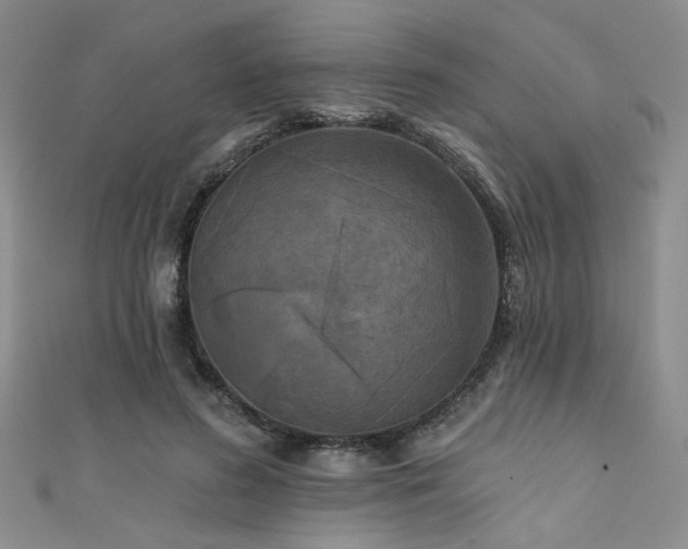 X0000111480596200907141219