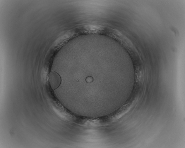 X0000111480599200907141219