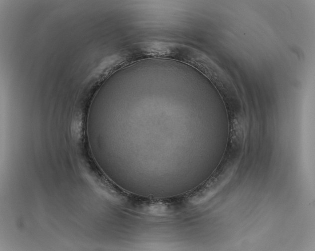 X0000111480600200907141219
