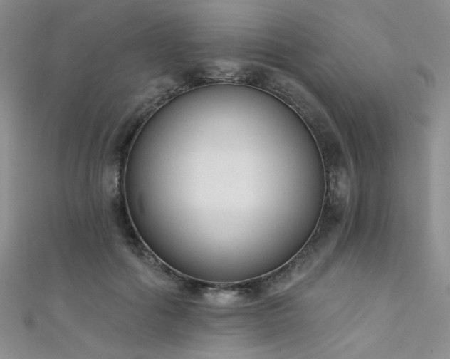 X0000111480602200907141219
