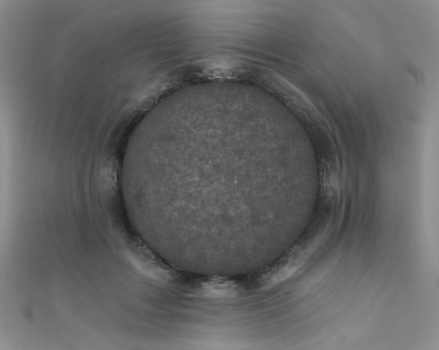 X0000111480603200907141219