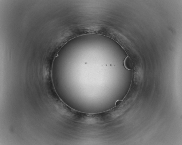 X0000111480608200907141219