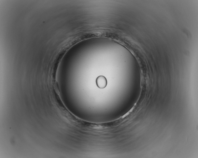 X0000111480611200907141219