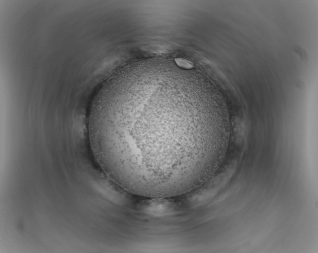 X0000111480612200907141219