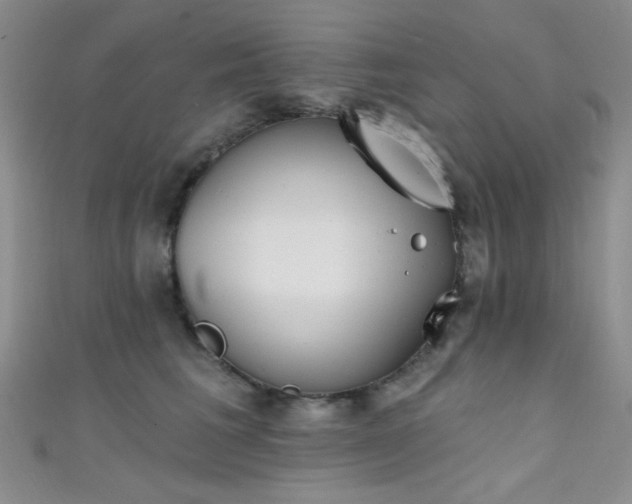 X0000111480613200907141219