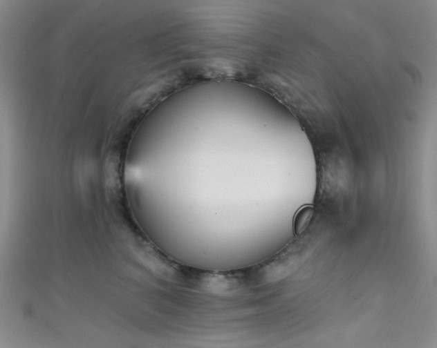 X0000111480616200907141219