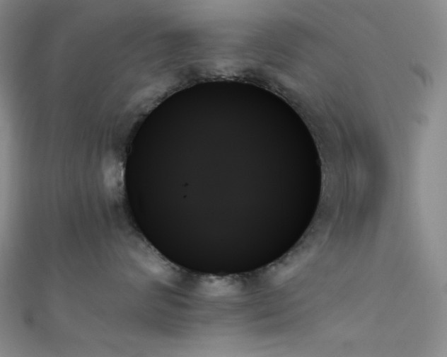 X0000111480624200907141219
