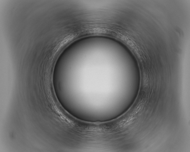 X0000111480625200907141218