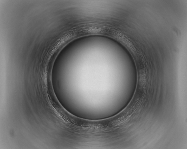 X0000111480626200907141218