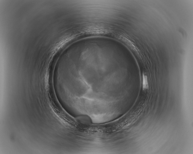 X0000111480627200907141218