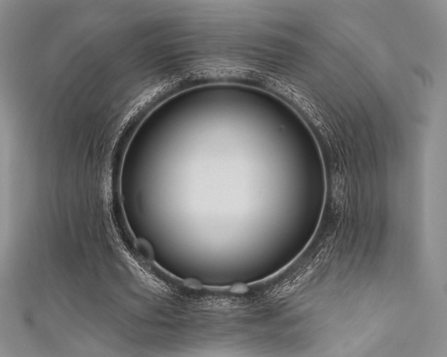 X0000111480629200907141218