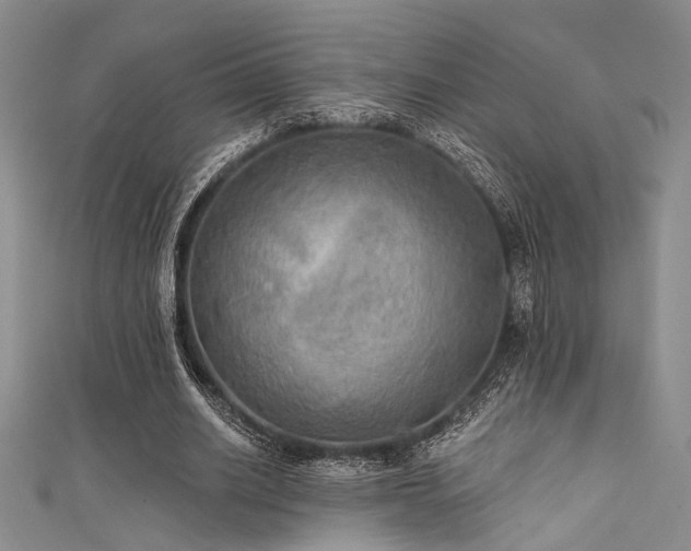 X0000111480630200907141218