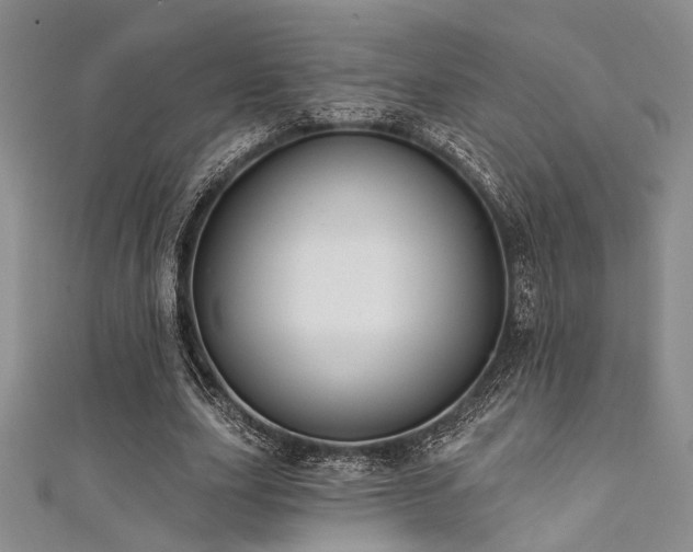 X0000111480631200907141218