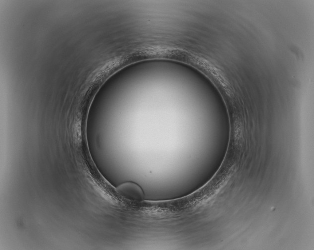 X0000111480633200907141218