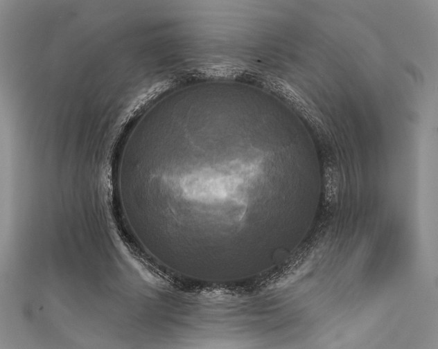 X0000111480634200907141218