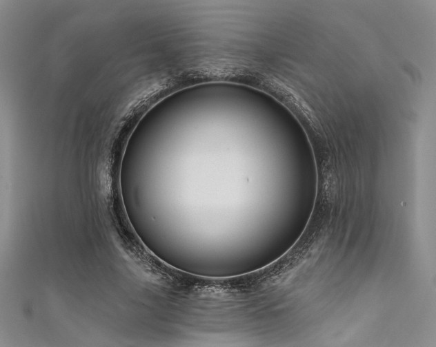 X0000111480635200907141218