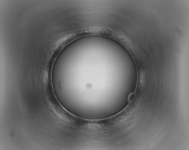 X0000111480636200907141218