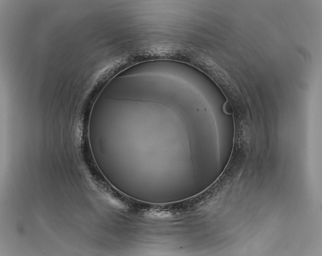 X0000111480640200907141218