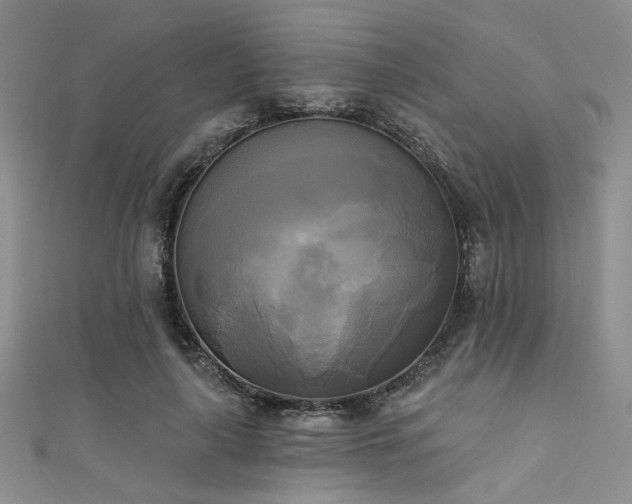 X0000111480643200907141218