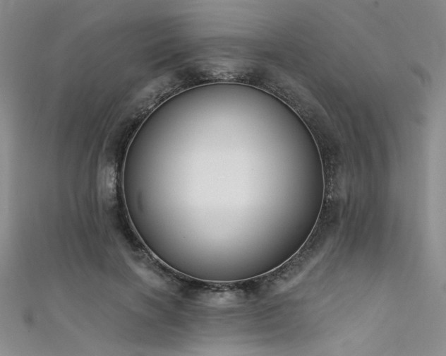 X0000111480646200907141218