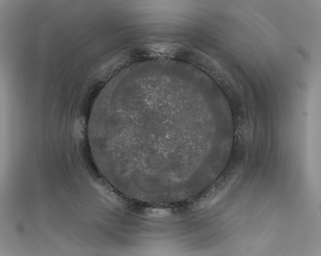 X0000111480649200907141218