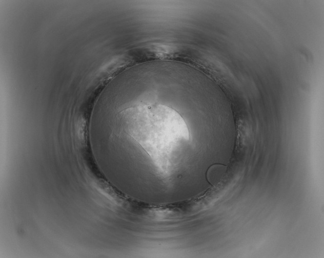 X0000111480650200907141218