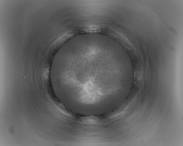 X0000111480652200907141218