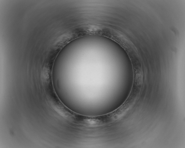 X0000111480654200907141218