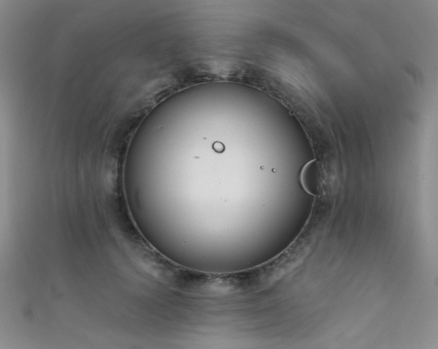 X0000111480656200907141218