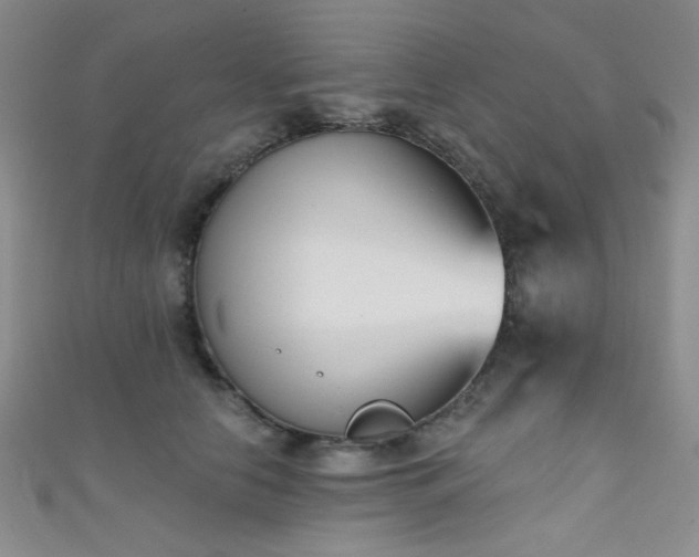 X0000111480658200907141218
