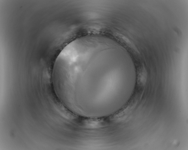 X0000111480661200907141219