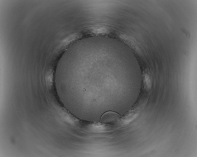 X0000111480668200907141219