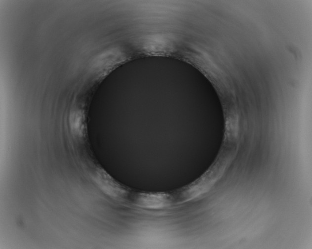 X0000111480671200907141219