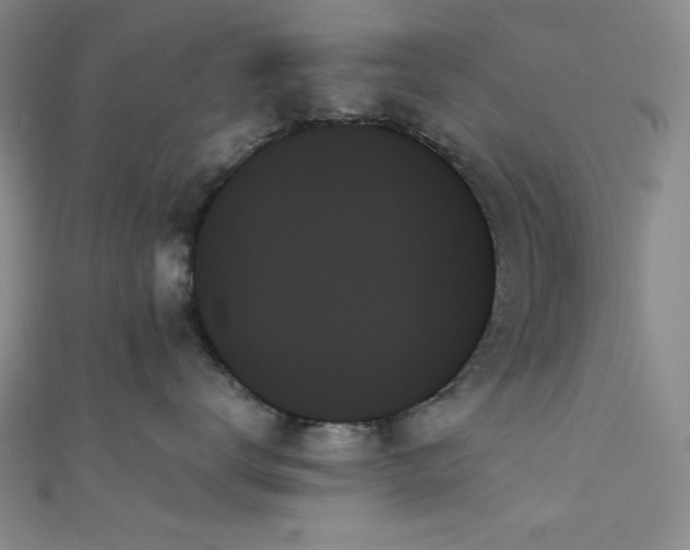 X0000111480672200907141219