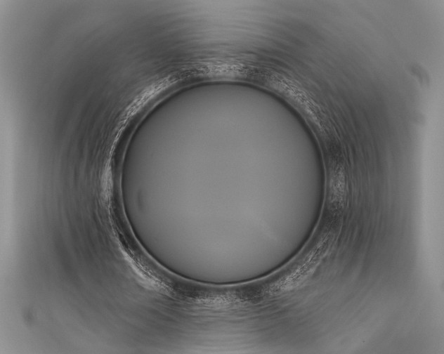 X0000111480674200907141218