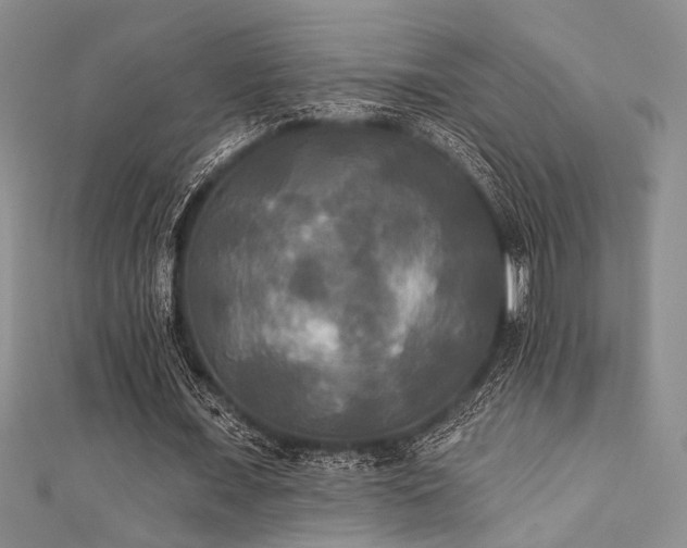 X0000111480675200907141218