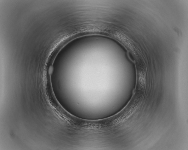 X0000111480676200907141218