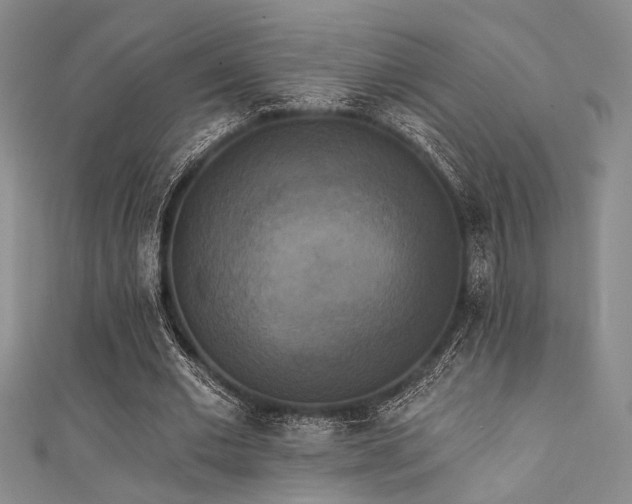 X0000111480677200907141218