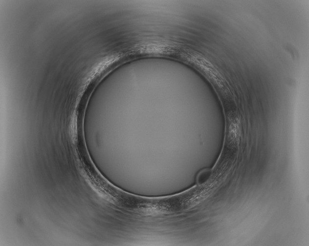 X0000111480678200907141218