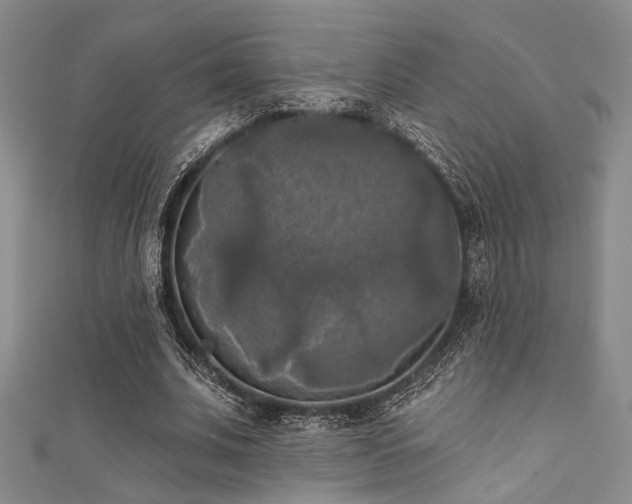 X0000111480679200907141218