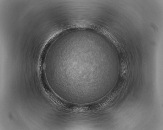 X0000111480680200907141218