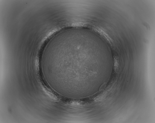 X0000111480684200907141218