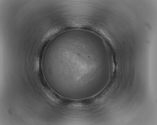 X0000111480685200907141218