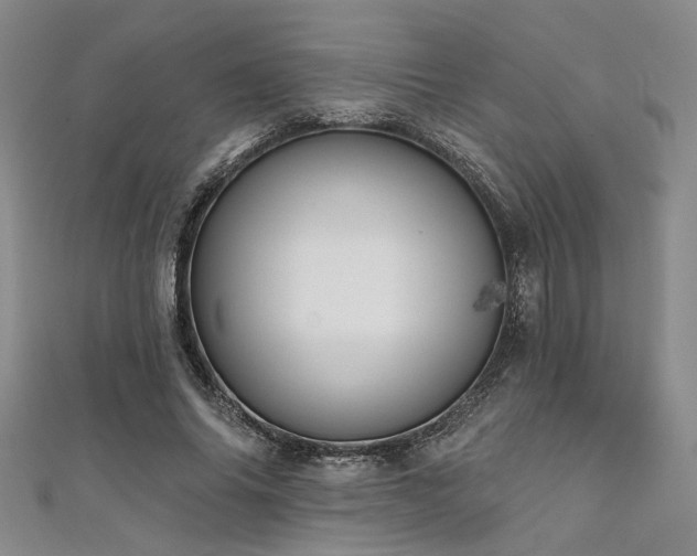 X0000111480686200907141218