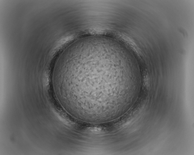 X0000111480687200907141218